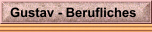 Gustav - Berufliches